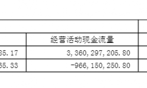 晶圆代工2025年年报：华虹公司营收增速领先 利润却垫底 盈利疲弱或再显定位之困