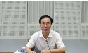 极目政情丨构成严重职务违法并涉嫌受贿犯罪,70岁“老虎”胡幼桃被开除党籍、取消待遇