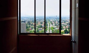 导致多起非正常死亡，“指居”何去何从？