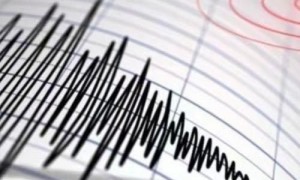 巴基斯坦旁遮普省发生5.0级地震