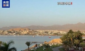 加沙停火进入第二天 巴以准备互释对方人员 多方发声筹划维稳