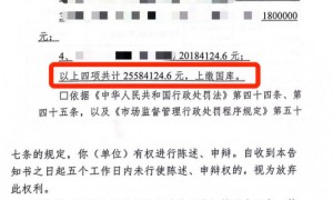 山东一执法人员称“干垮一个企业太简单” ,当事人回应:自己已被处理