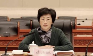 施小琳当选四川省省长,省级政府女性“一把手”增至3位